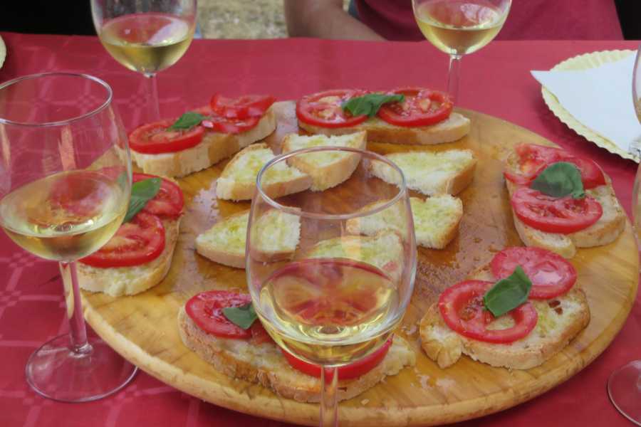 Italy on a Budget tours HALF DAY TUSCANY WINE TOUR  - WINE NOT !!!