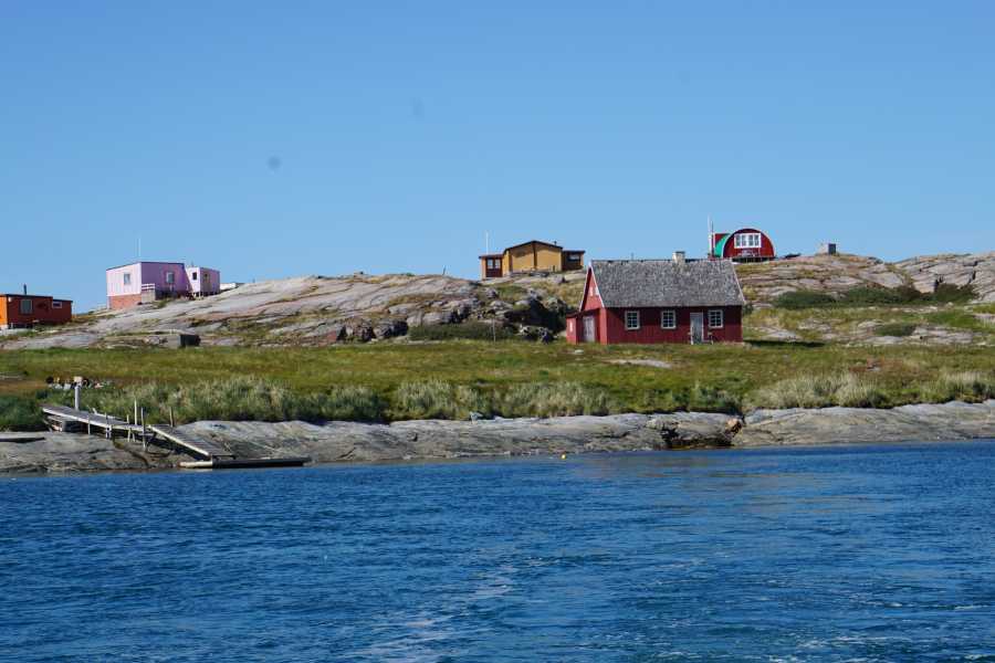 Diskobay Tours Qeqertasussuk - Akulliit