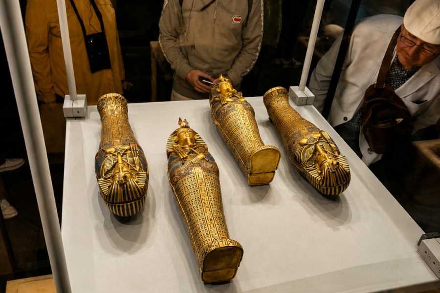 Let`s Explore Egypt Cairo Highlights: 3-Day Guided Tour with Dinner Cruise and Camel Ride