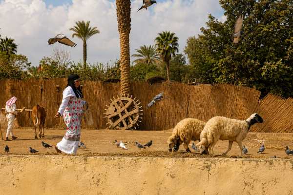 Pharaonic Village Guided Half Day Tour from Cairo