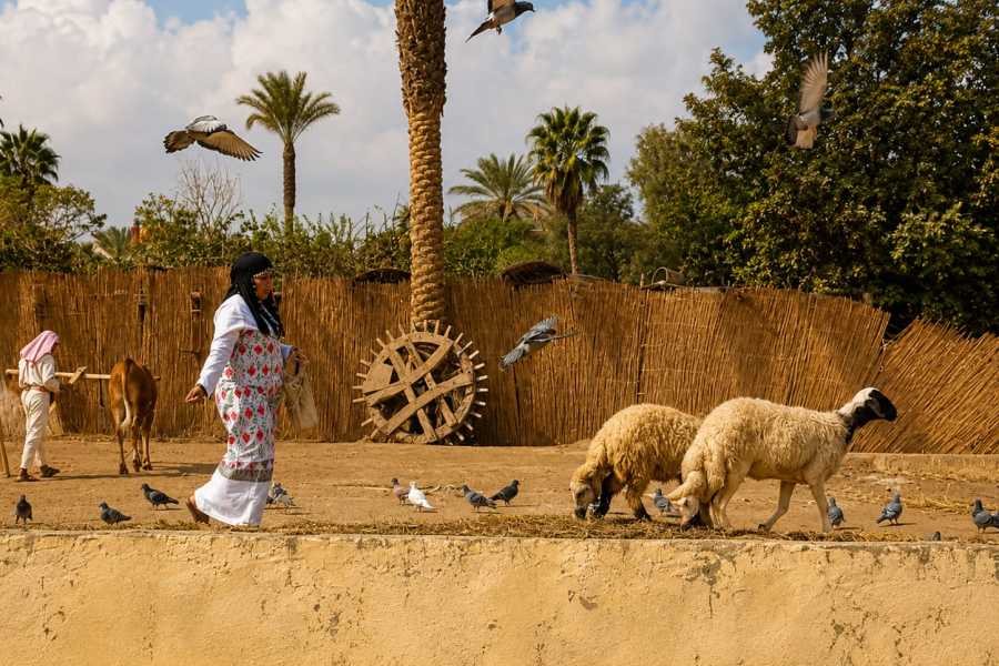 Let`s Explore Egypt Pharaonic Village Guided Half Day Tour from Cairo