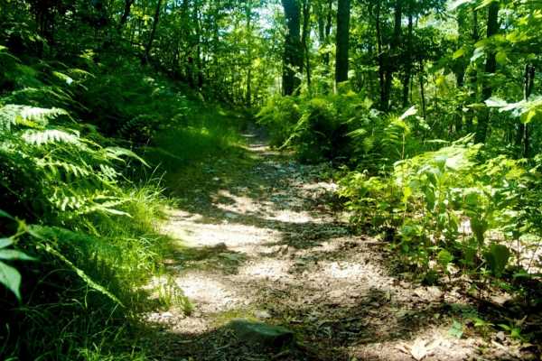 ATV Mountains and Jungles 4 Hour Tour