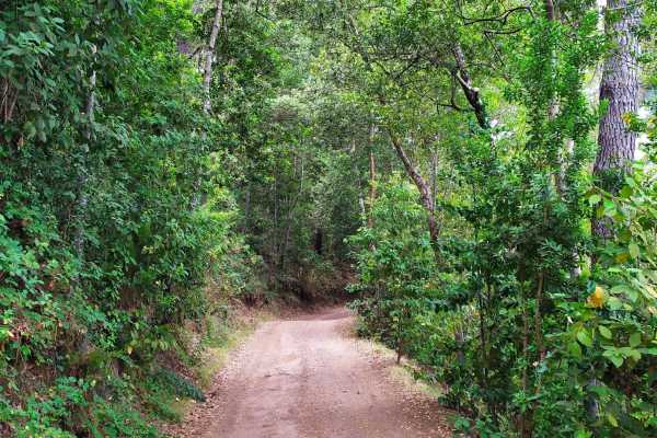 ATV Mountains and Jungles 4 Hour Tour