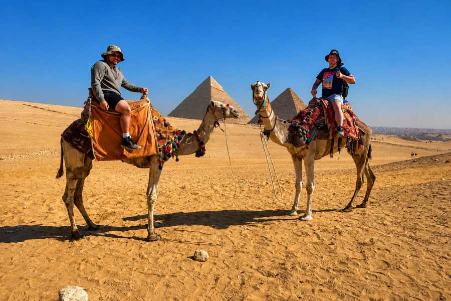 Let`s Explore Egypt Cairo Layover Tour to Giza Pyramids Sphinx Camel Ride Lunch on The Nile