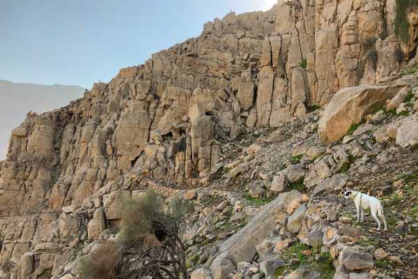 Scaling Jabal Jais North Side (Fri 12 Feb)