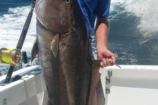 Panga "Captain Jimmy"