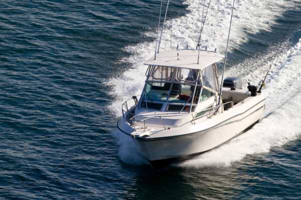 Panga "Captain Jimmy"