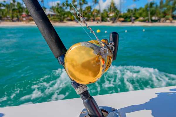 Panga "Captain Jimmy"