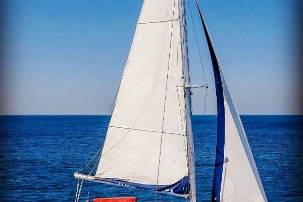 Timarouba Catamaran Tour