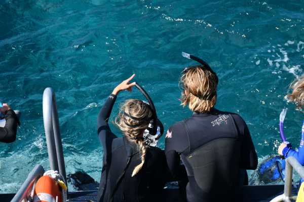 Timarouba Catamaran Tour