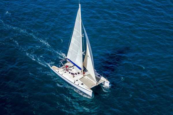 Timarouba Catamaran Tour