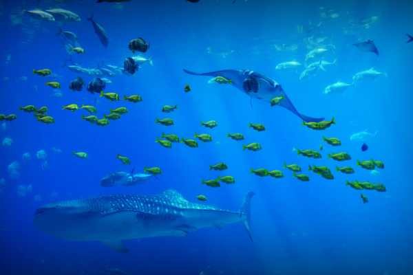Timarouba Catamaran Tour