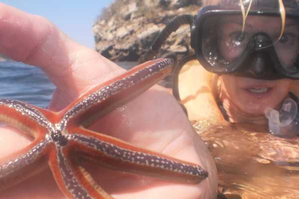 Goombay Catamaran Tour