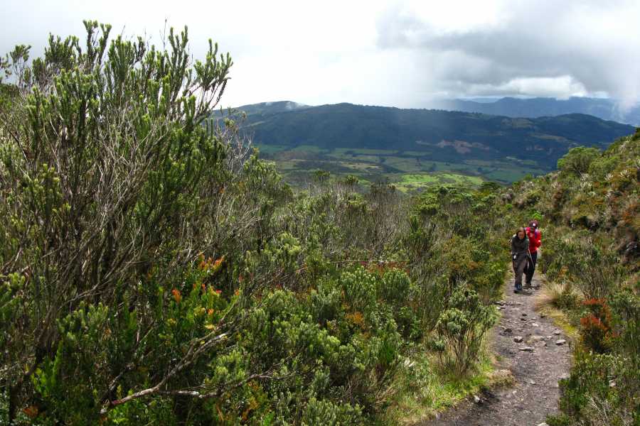 Andes Ecotours Chingaza Siecha & Cuchillas Lakes Trek