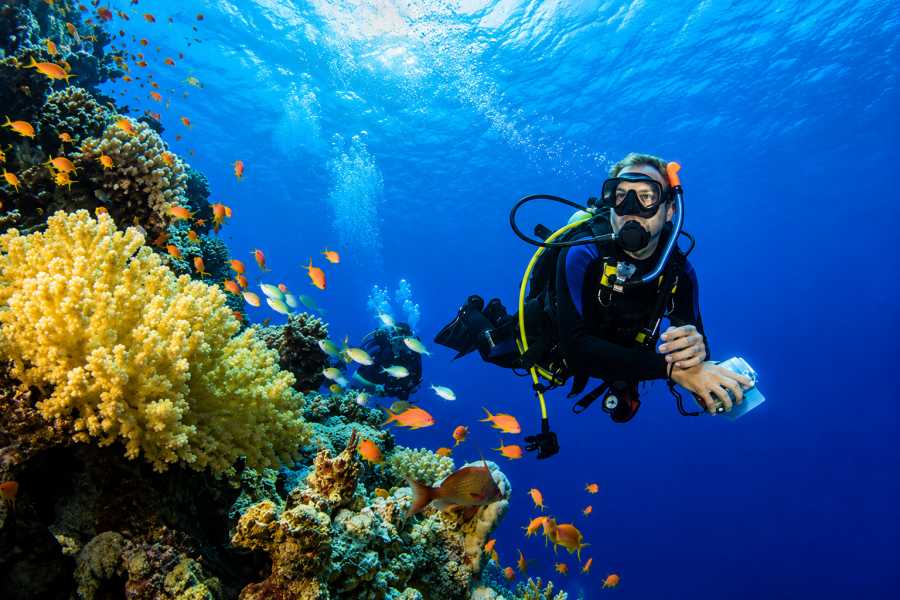 Let`s Explore Egypt 11Days to  pyramids Nile Cruise, Aswan, Luxor, Hurghada