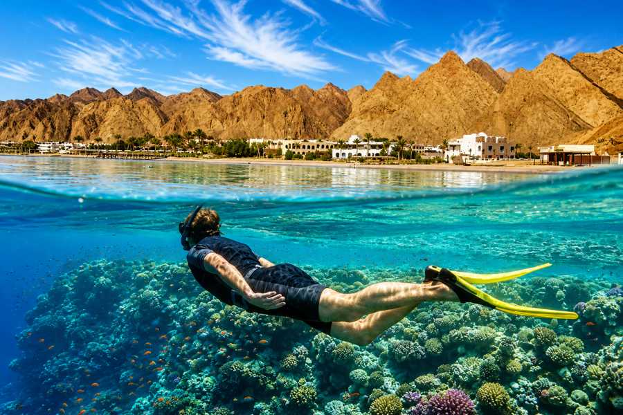 Let`s Explore Egypt 11Days to  pyramids Nile Cruise, Aswan, Luxor, Hurghada