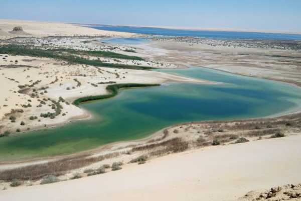 Wadi Al Hitan day trip  from Cairo
