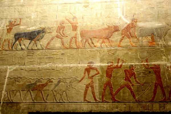 Day tour to Sakkara attractions from Cairo