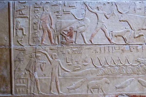Day tour to Sakkara attractions from Cairo