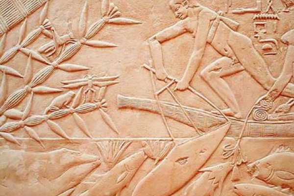 Day tour to Sakkara attractions from Cairo