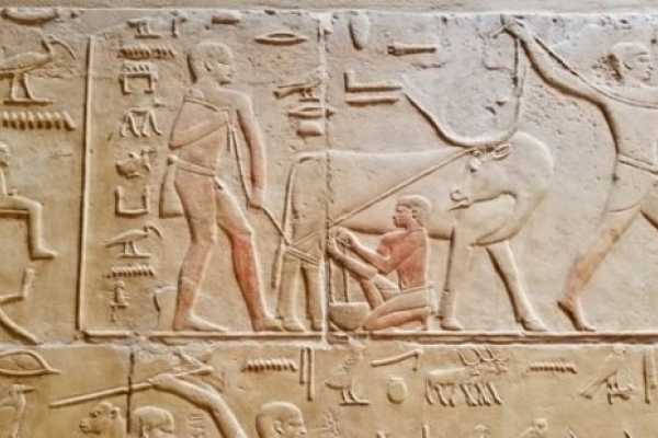 Day tour to Sakkara attractions from Cairo