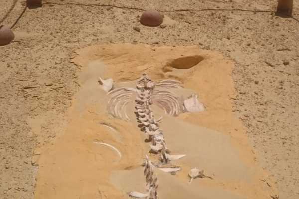 3 day Tours to Fayoum oasis from Cairo