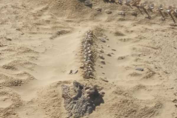 3 day Tours to Fayoum oasis from Cairo