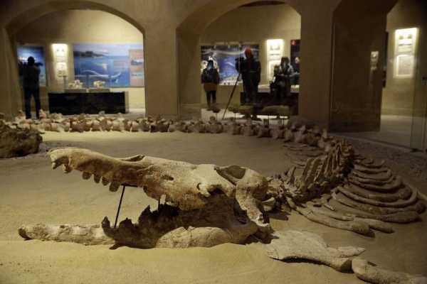 3 day Tours to Fayoum oasis from Cairo