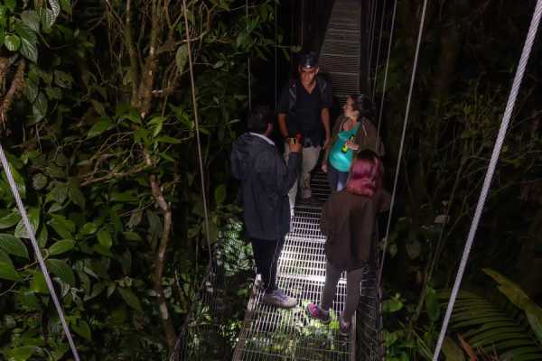 Buena Vista Night Walk and Hanging Bridges