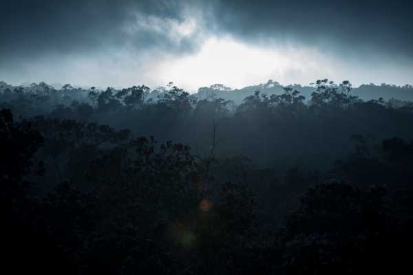 Buena Vista Night Walk and Hanging Bridges