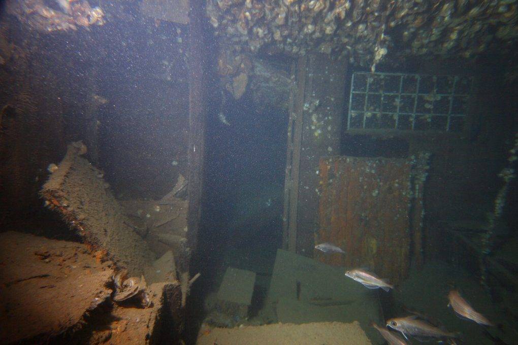 Scuba Diving at the Shipwreck Cargo Anni