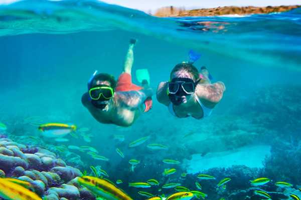 Snorkeling Trip - Tiran Island
