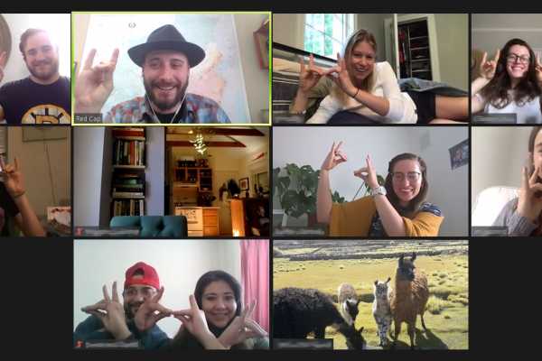 Llamazing Virtual Meeting