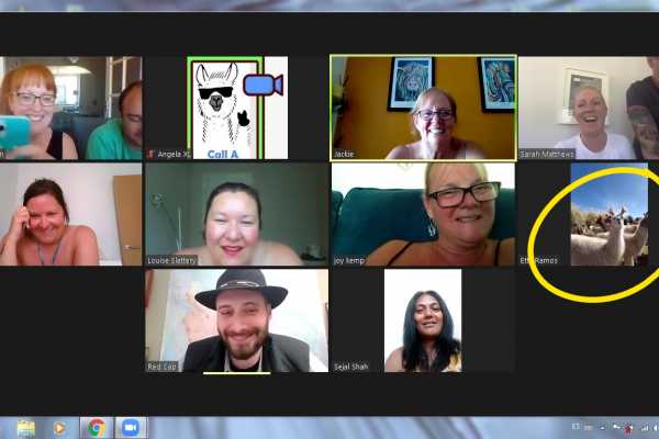 Llamazing Virtual Meeting