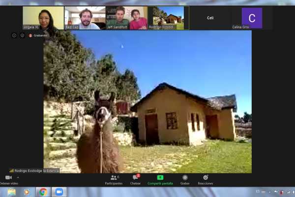 Llamazing Llama Expedition!