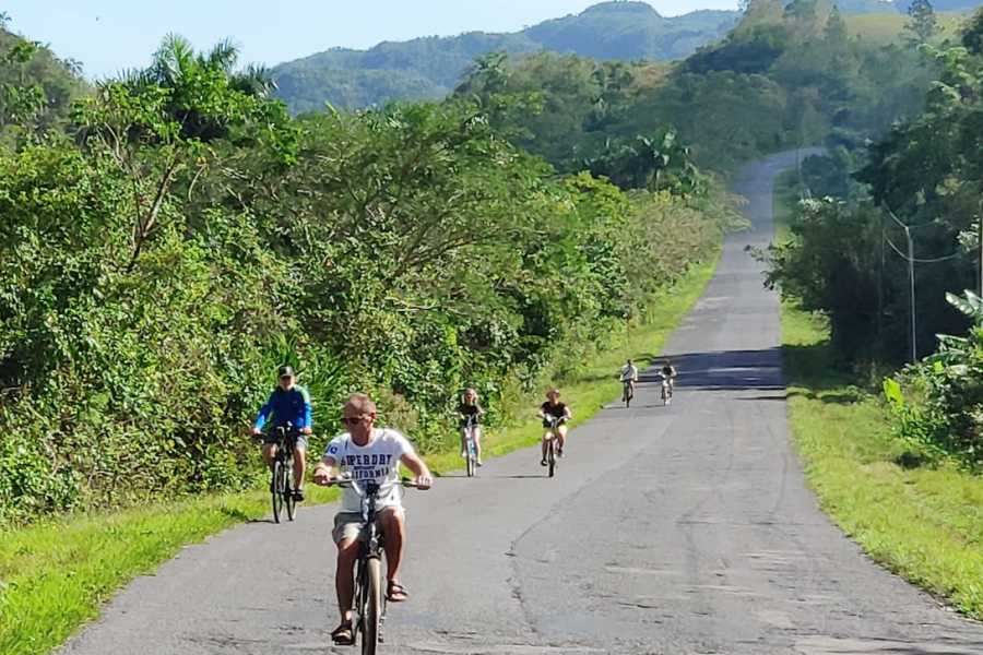 Cubyke Travel Vi&ntilde;ales, pure and intense - PRIVATE