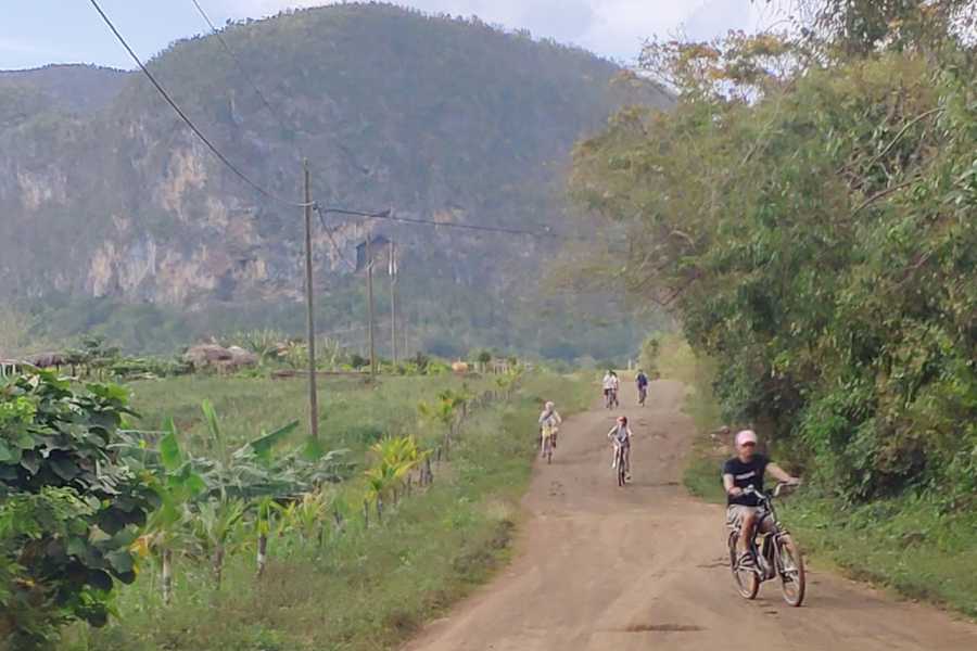 Cubyke Travel Vi&ntilde;ales, pure and intense - PRIVATE