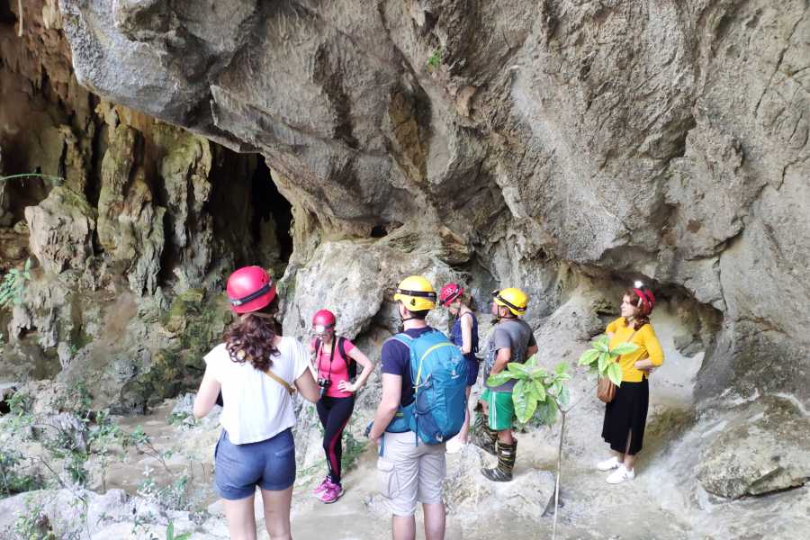 Cubyke Travel Vi&ntilde;ales, pure and intense - PRIVATE