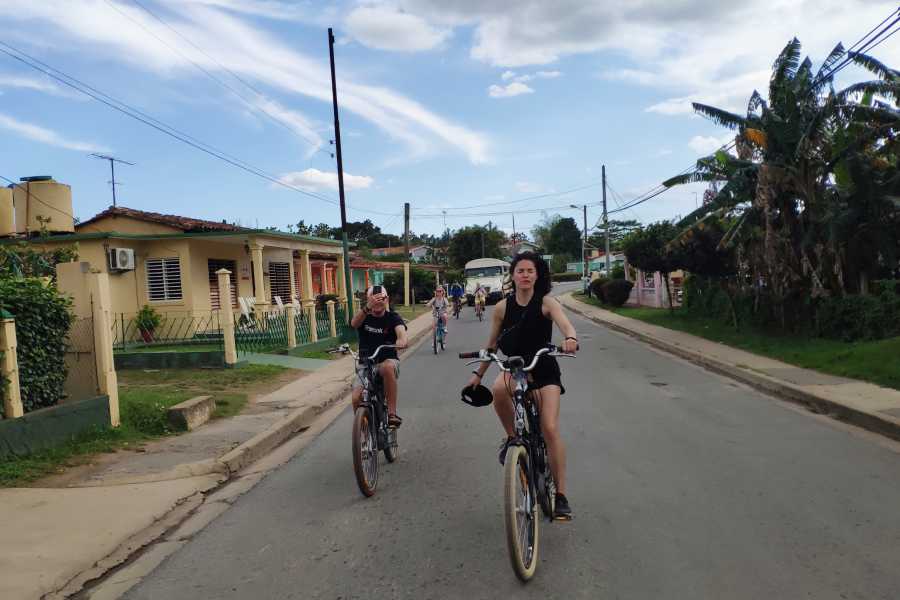 Cubyke Travel Vi&ntilde;ales, pure and intense - PRIVATE