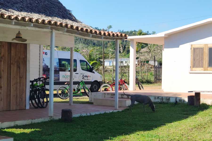 Cubyke Travel Vi&ntilde;ales, pure and intense - PRIVATE
