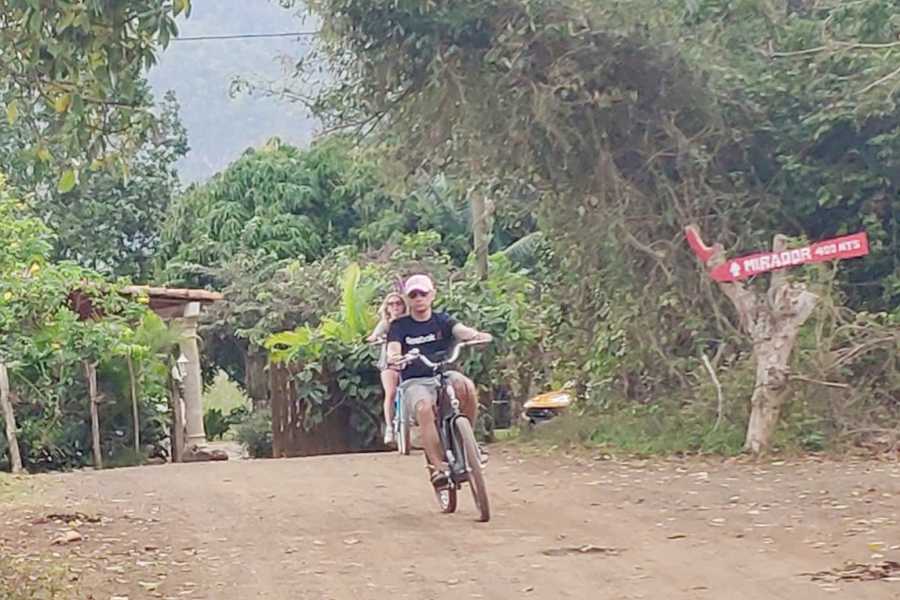 Cubyke Travel Vi&ntilde;ales, pure and intense - PRIVATE