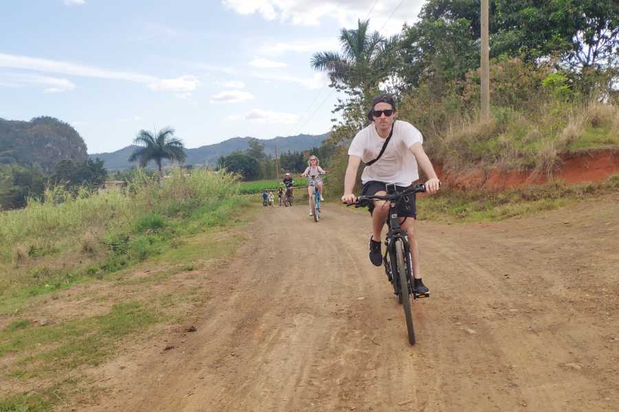 Cubyke Travel Vi&ntilde;ales, pure and intense - PRIVATE