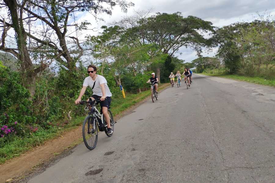 Cubyke Travel Vi&ntilde;ales, pure and intense - PRIVATE
