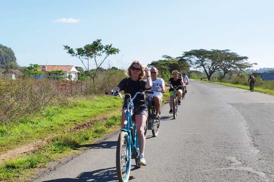 Cubyke Travel Vi&ntilde;ales, pure and intense - PRIVATE