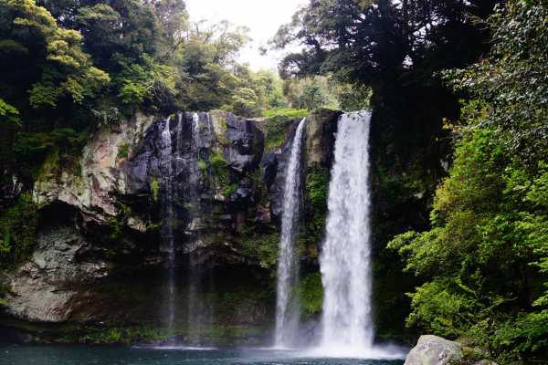 Barva Volcano and Rain Forest Tour