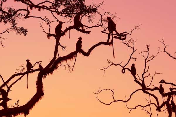Barva Volcano and Rain Forest Tour