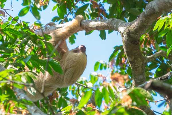Barva Volcano and Rain Forest Tour