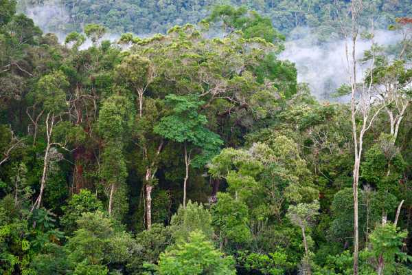Barva Volcano and Rain Forest Tour