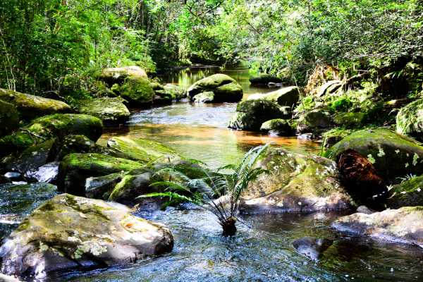 Barva Volcano and Rain Forest Tour