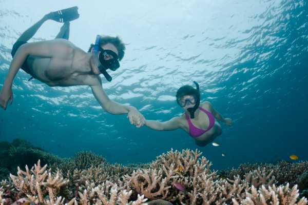 Manta Ray Private Catamaran Charter
